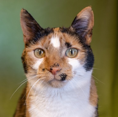 Photo of Auld Lang Syne