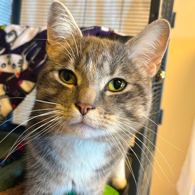 Photo of Argus