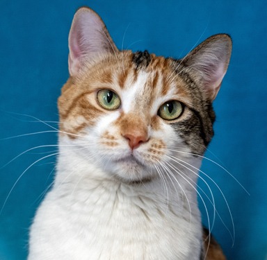 Photo of Flicker