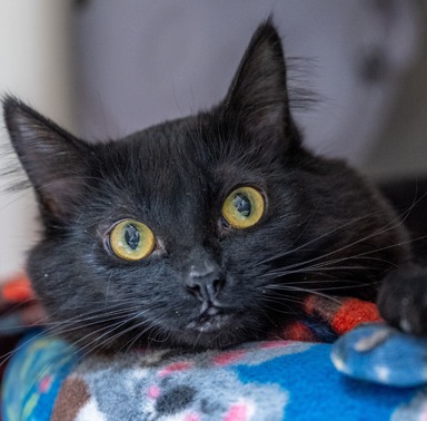 Photo of Maude