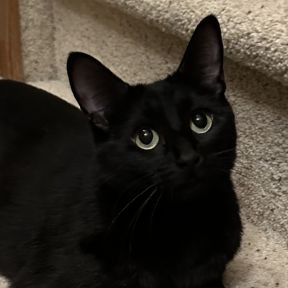 Photo of Lady Belle Noire