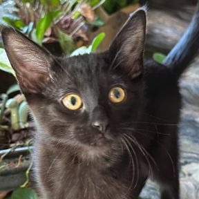 Photo of Jean Luc