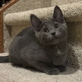 Photo of Claudette