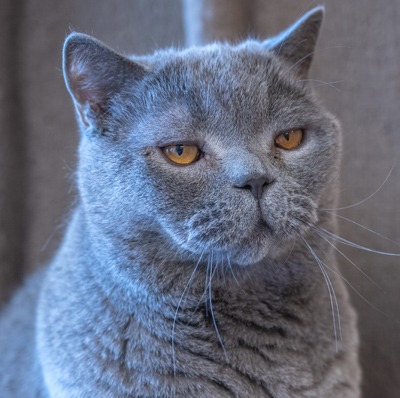 Photo of Minky
