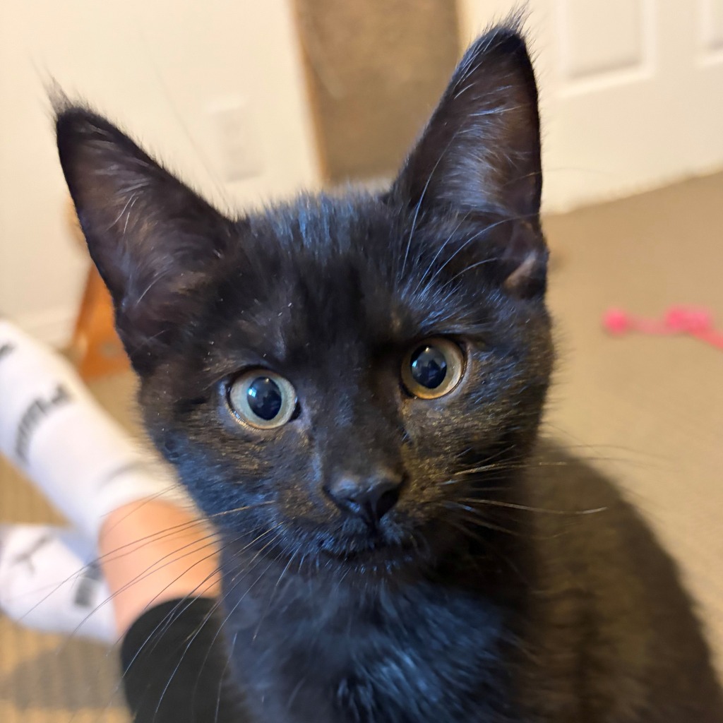 Photo of Prudence