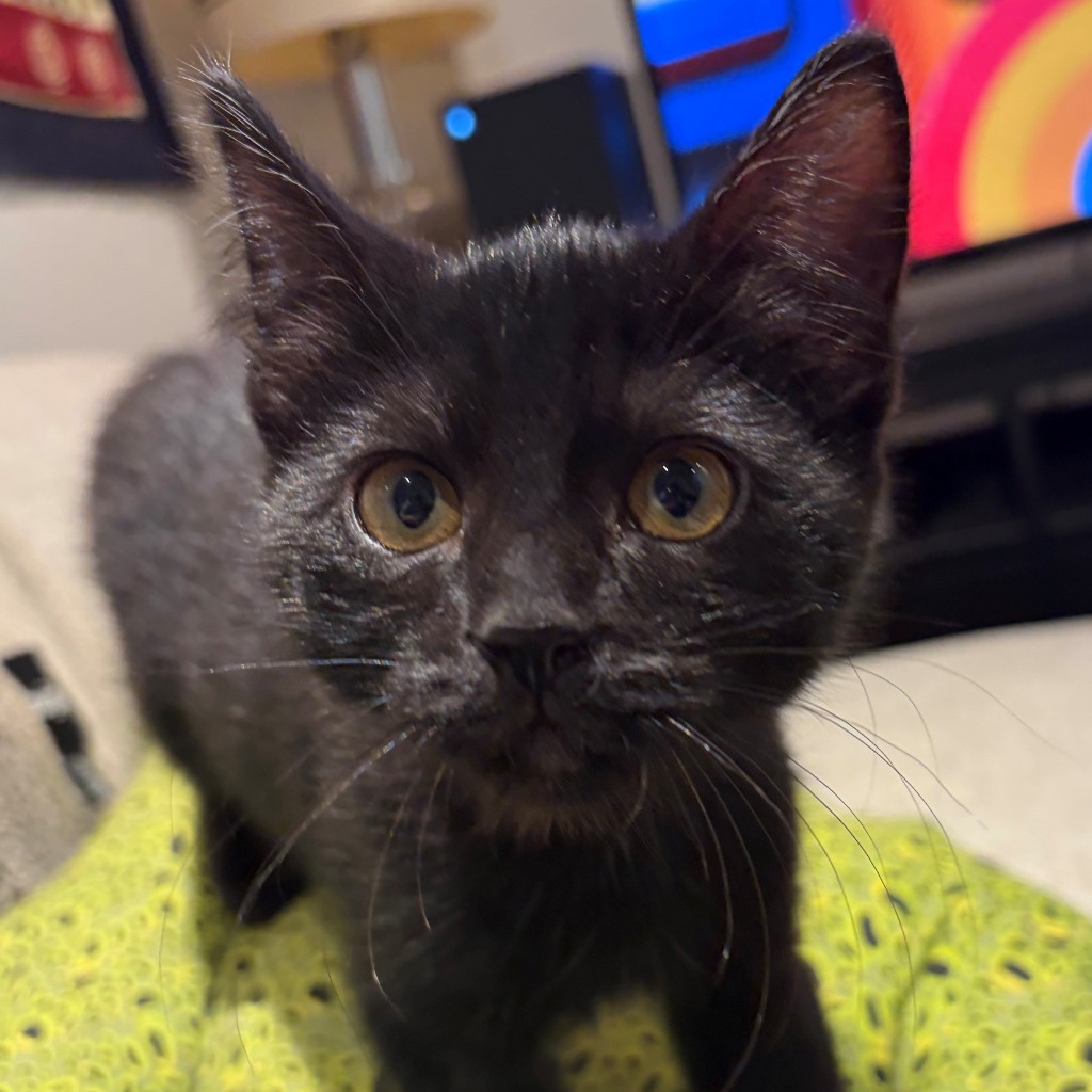 Photo of Eleanor Rigby