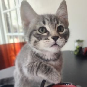 Photo of Hughie