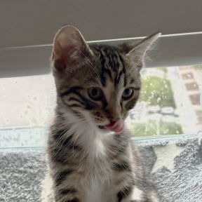Photo of Bug