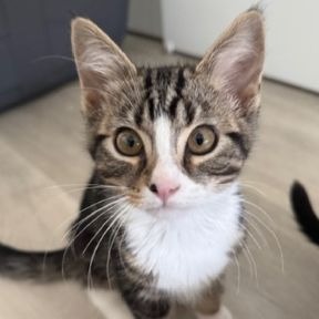 Photo of Leia