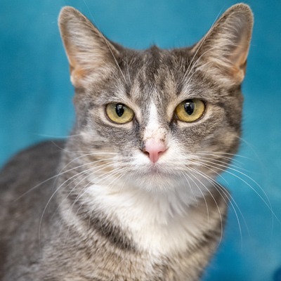 Photo of Almond Joy