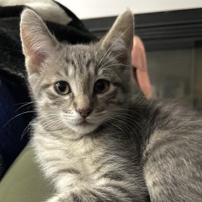 Photo of Bounty