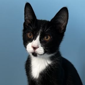 Photo of Samkim