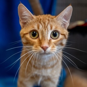 Photo of Mimi