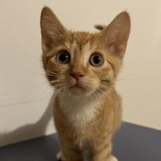Photo of Re