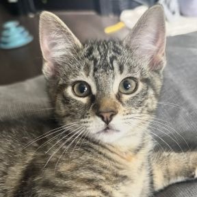 Photo of Mae