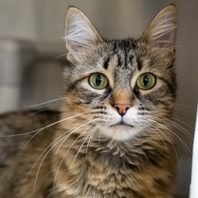 Photo of Menchie