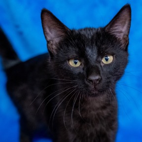 Photo of Mabel