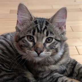 Photo of Maximilian