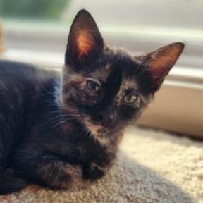 Photo of Jennika