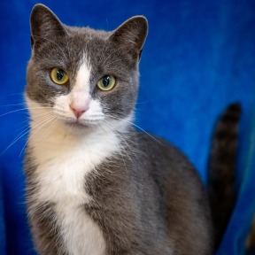 Photo of Bizzie Lizzie
