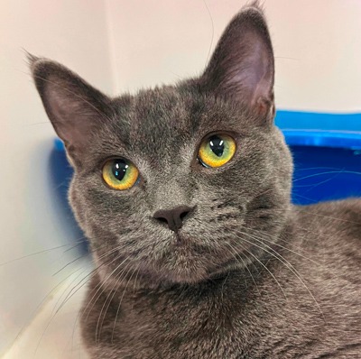 Photo of Beanie Baby