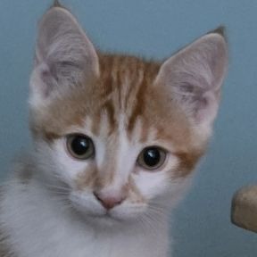 Photo of Agnes